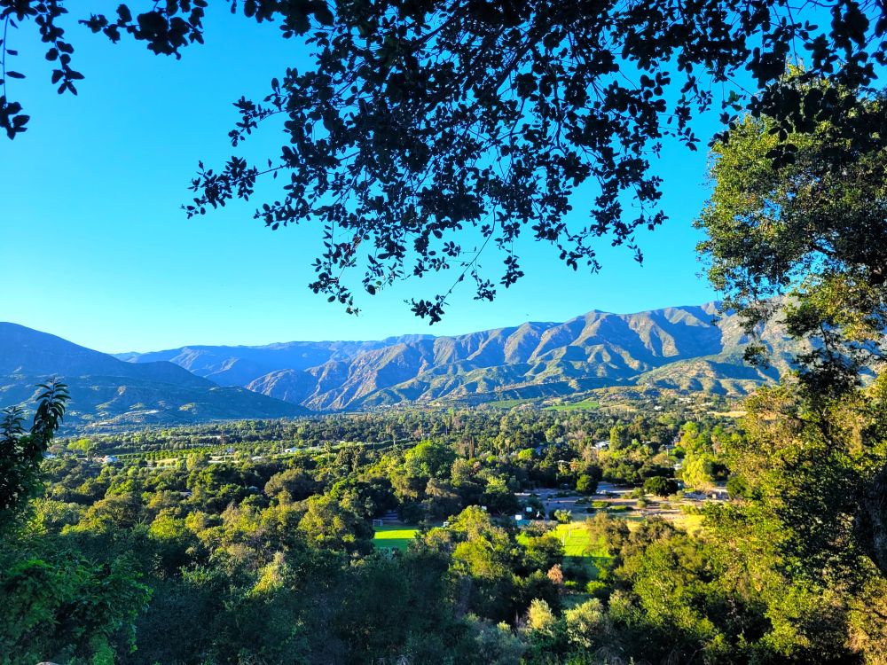 Scenic view of mountains, trees, and a clear blue sky with some tree branches in the foreground.