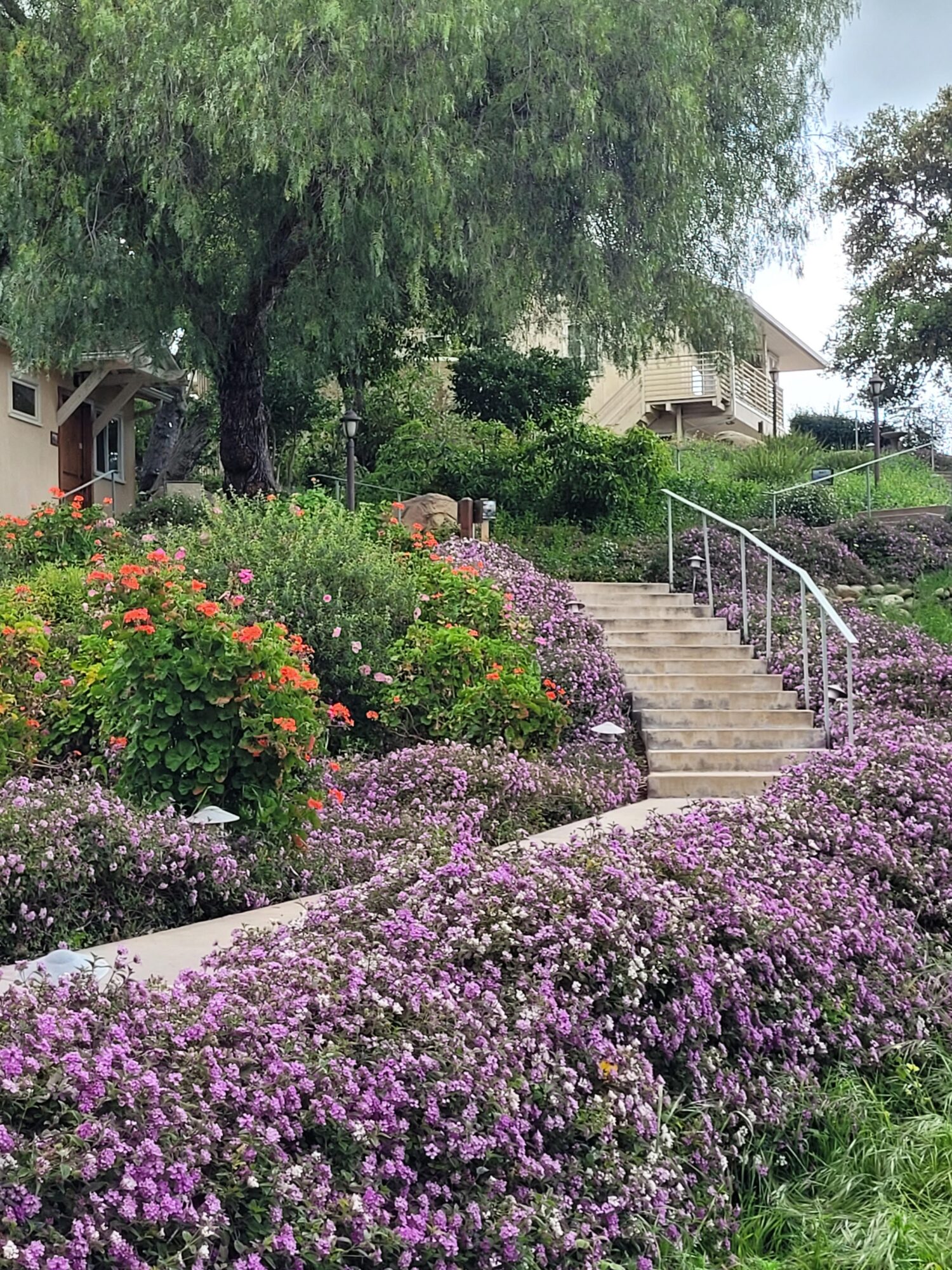 Garden with colorful flowers, a staircase with a white railing, and trees in the background.
