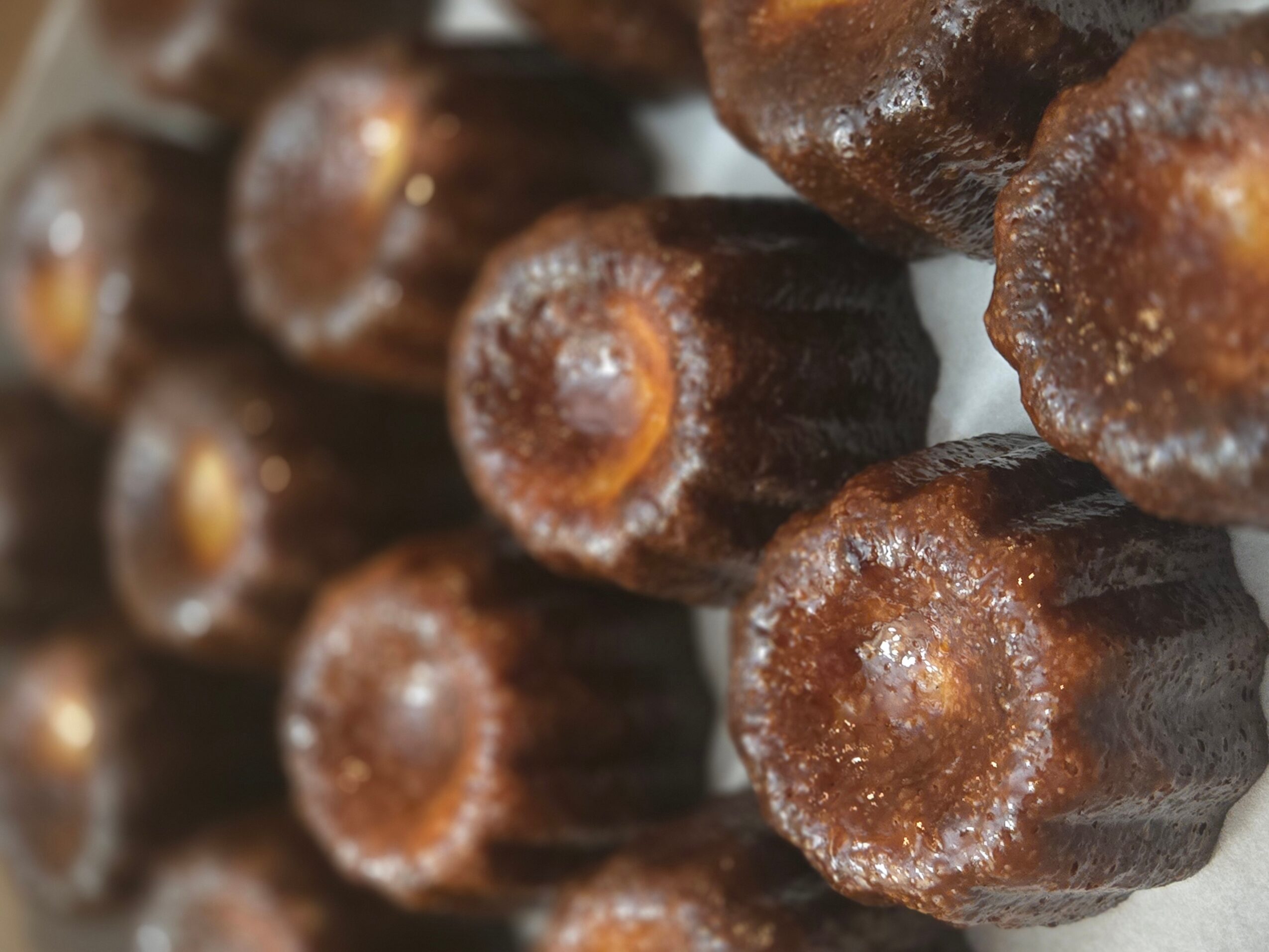 Close-up of brown, textured, cylindrical objects with rounded tops, arranged in a cluster.