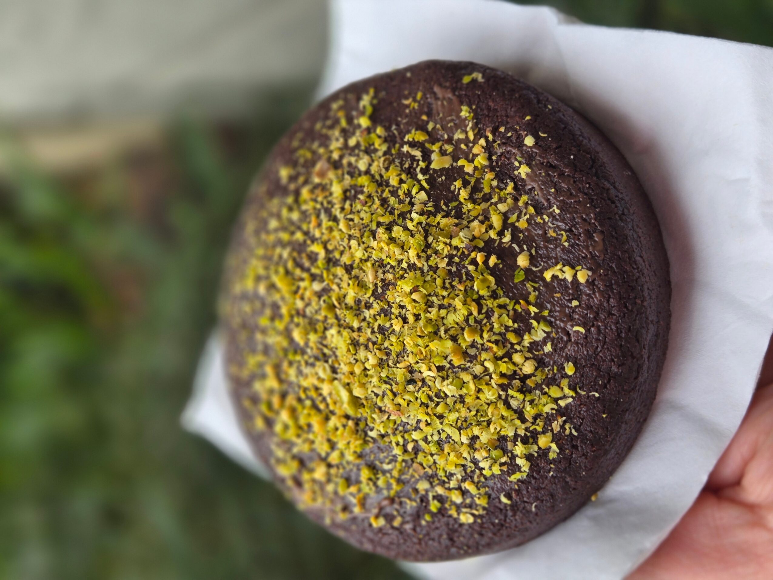 Chocolate cookie with yellow sprinkles held in hand, background of green outdoor area