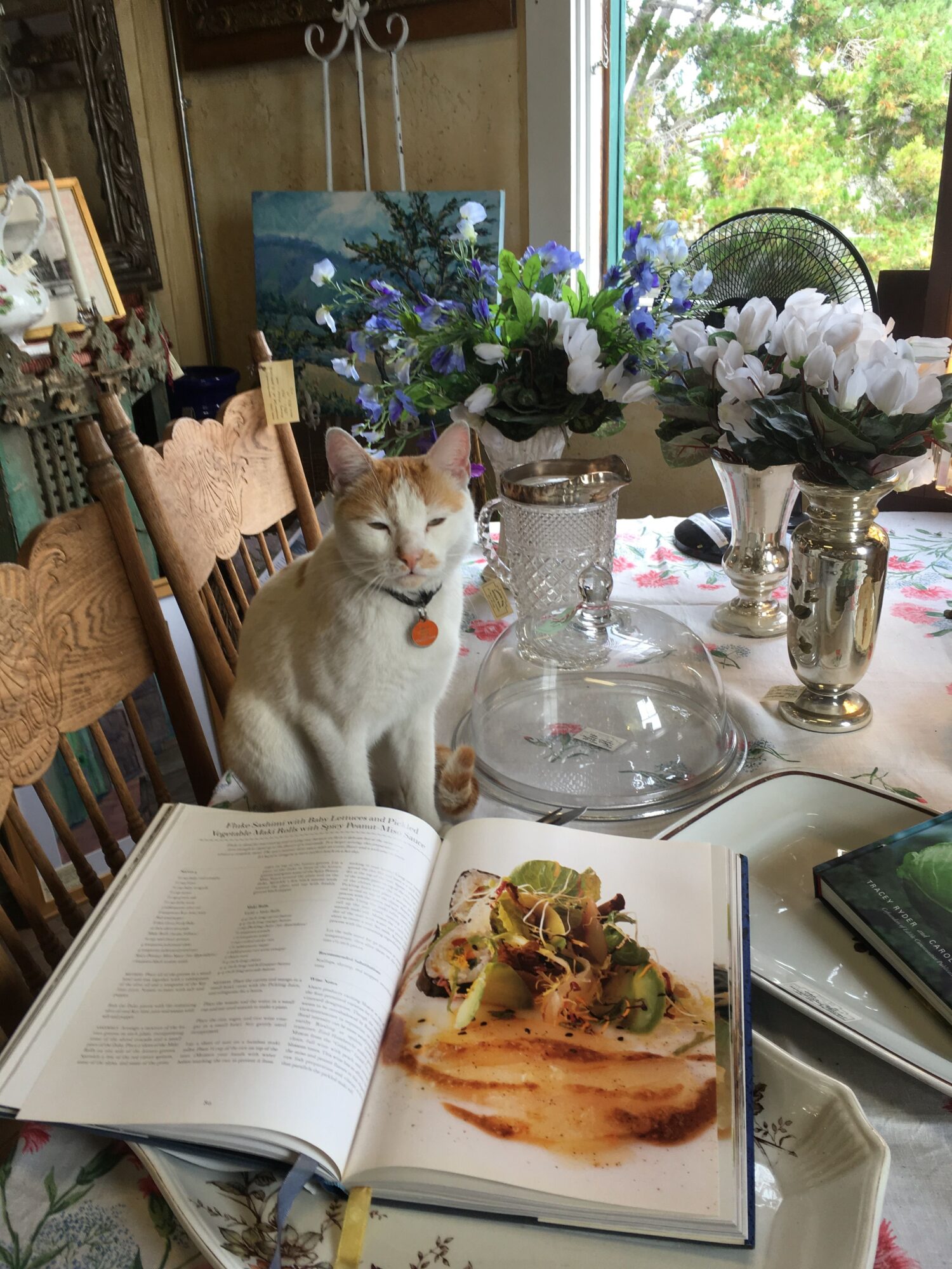 Cat sitting on a table next to an open book and a plate of food, with flowers and a window in the background.