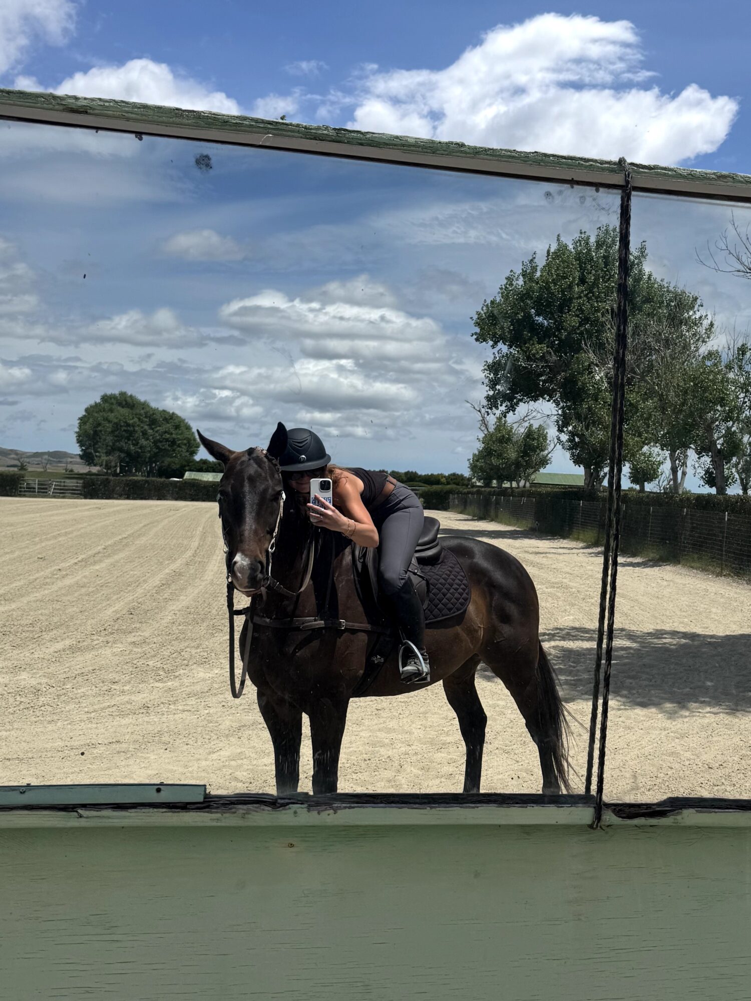 Person hugging a horse outdoors with trees and a cloudy sky in the background.