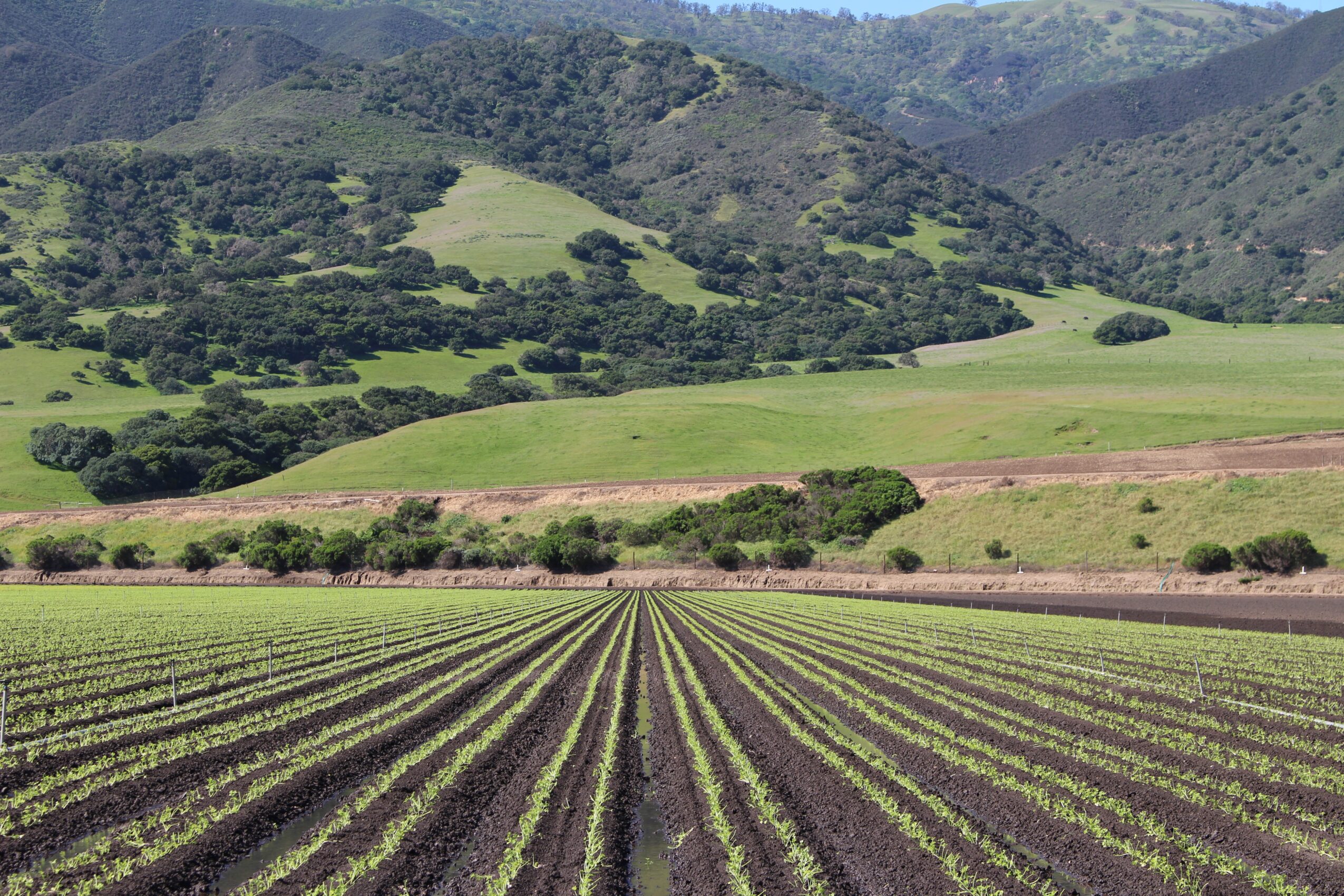 Farmland with rows of crops, green hills, and mountains in the background.