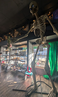 Skeleton hanging from ceiling inside a room with shelves and a green curtain, sunlight streaming through windows.