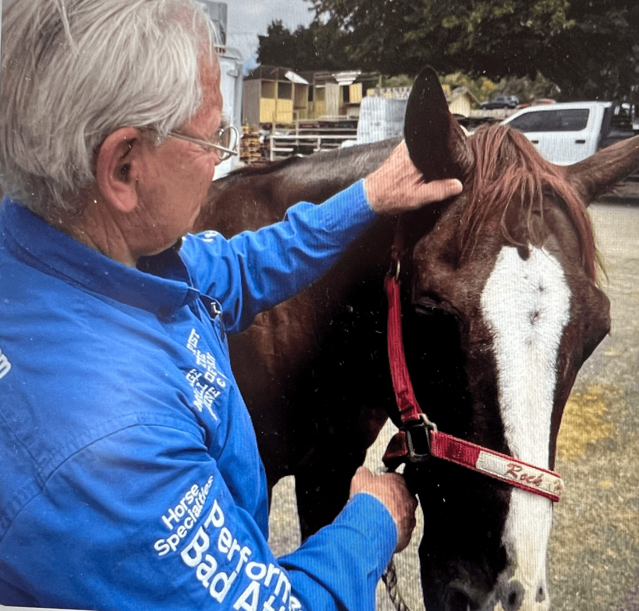 Older man with gray hair and glasses gently touches a brown and white horse's ear outdoors.