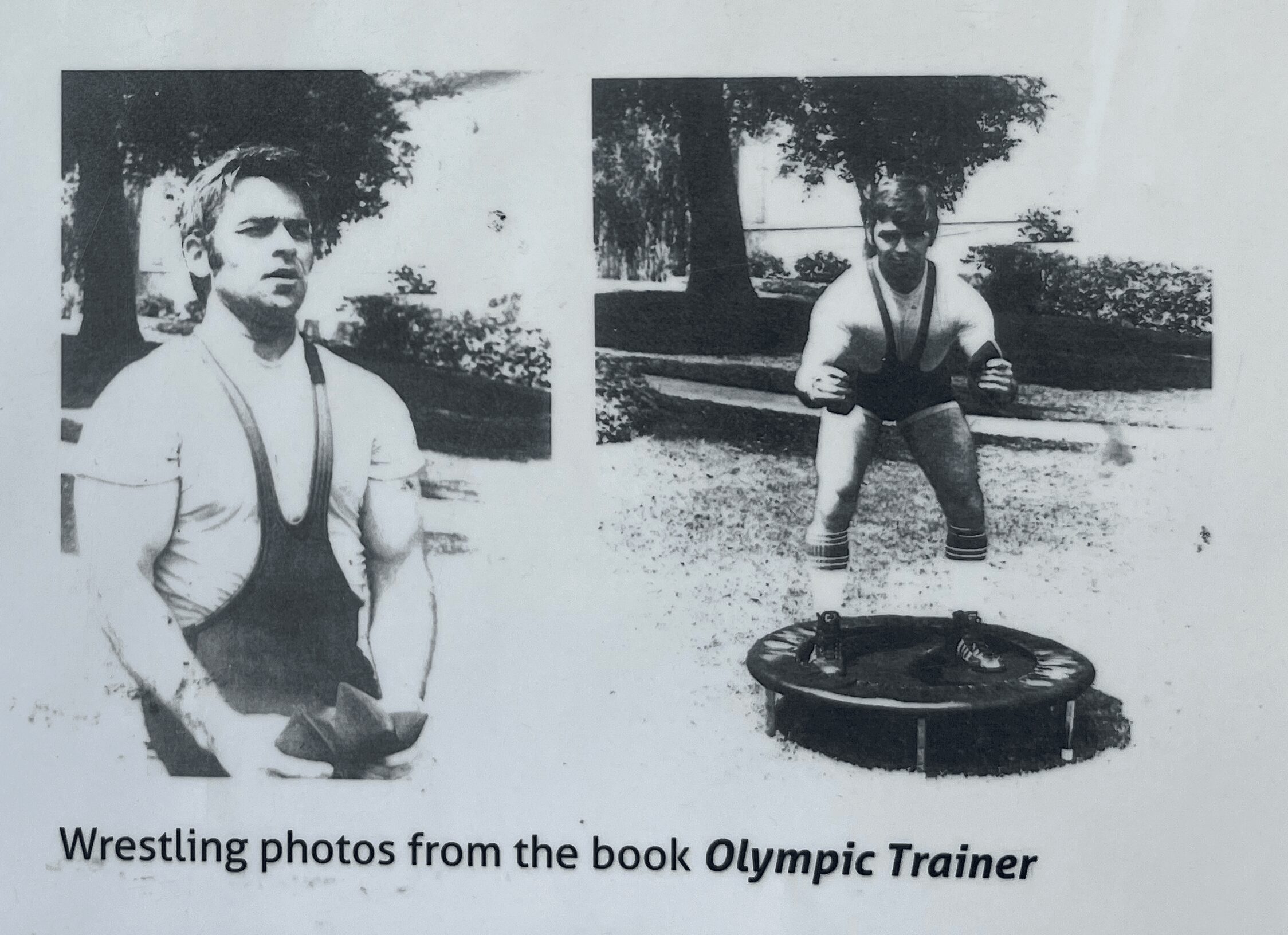 Two wrestlers outdoors, one standing and one crouching, with a circular object on the ground, trees in background.