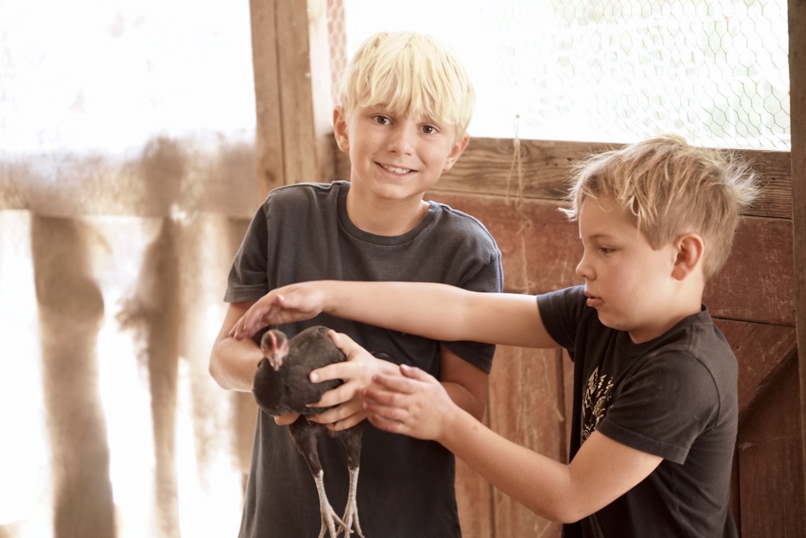 Two boys holding a small black rabbit inside a wooden enclosure, smiling and interacting with the animal.