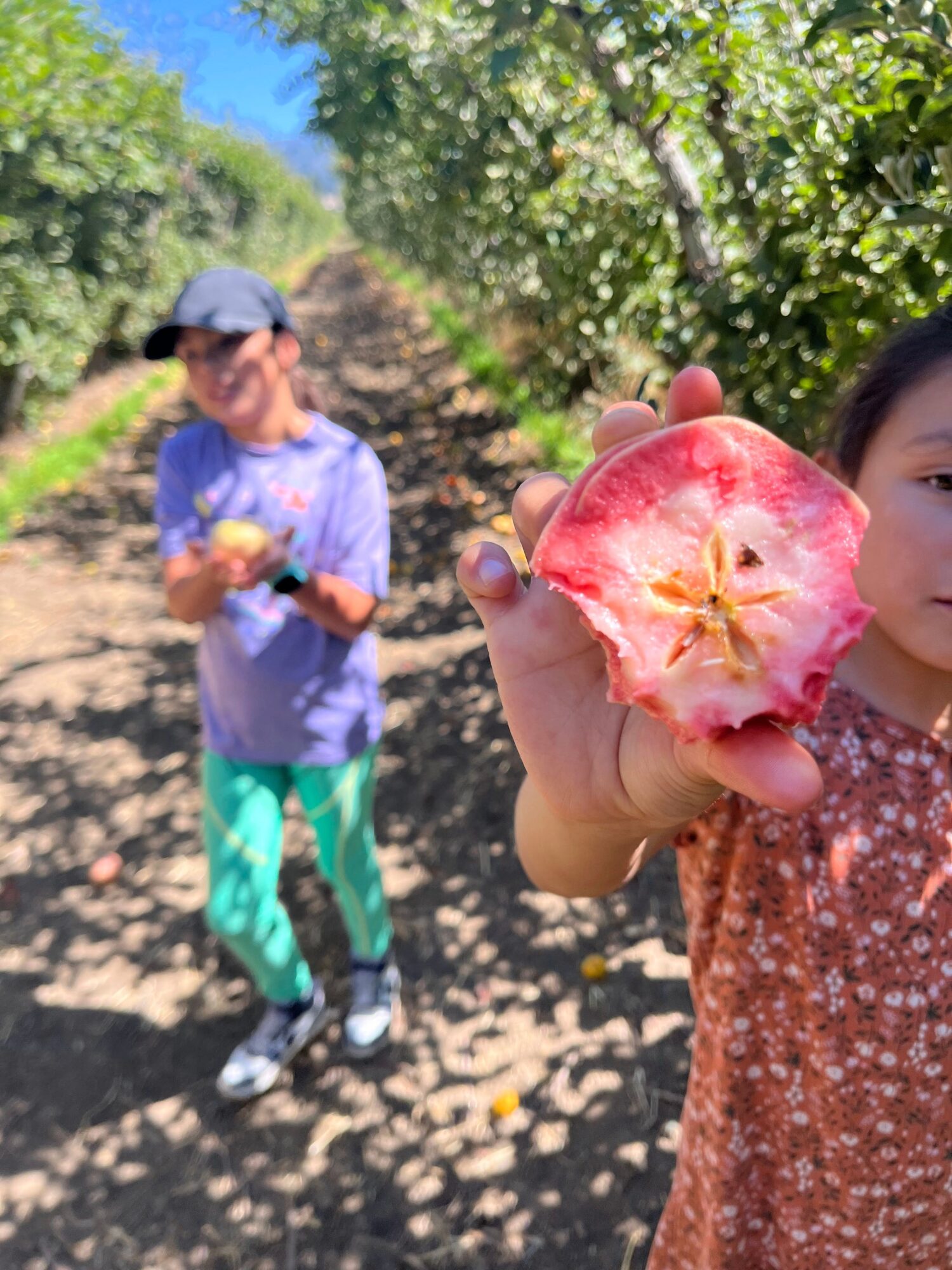 Child holding a half-eaten apple outdoors with trees and another person in the background.