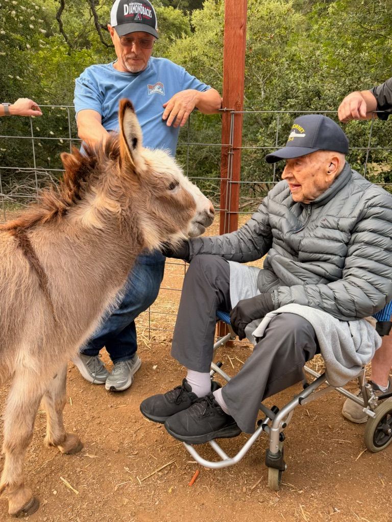 Young man in a blue shirt and cap interacts with a small donkey, while an elderly man in a wheelchair reaches out to pet it outdoors.