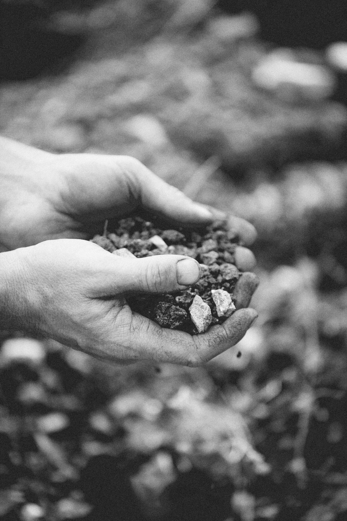 Two hands holding small rocks and soil outdoors, with a blurred natural background.