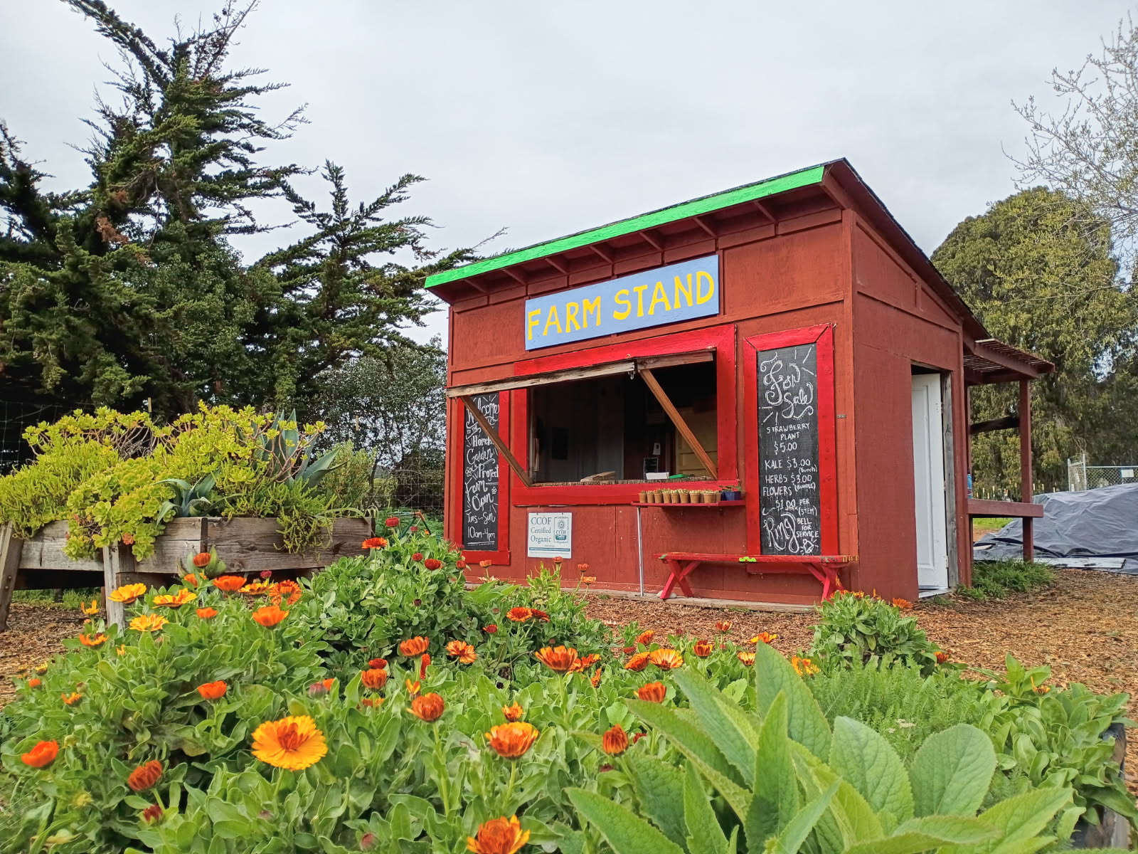 Small red farm stand with a green roof, chalkboards on sides, and a window, surrounded by flowers and greenery.