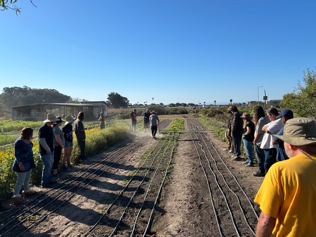 Group of people standing along a dirt path with railway tracks, outdoors on a sunny day, with trees and open sky.