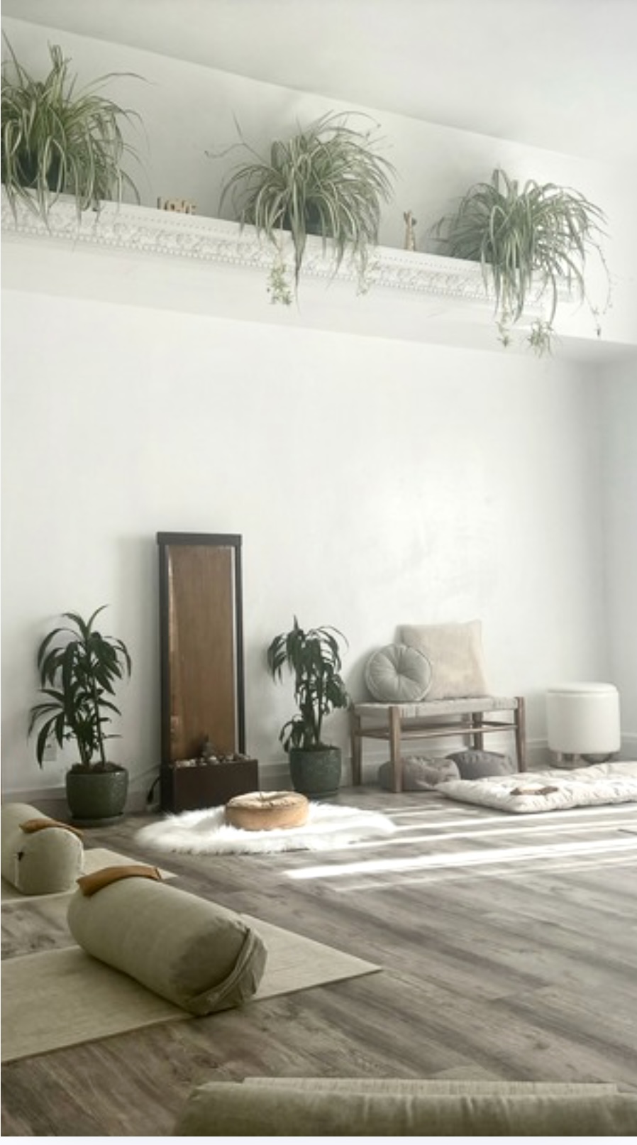 Living room with white walls, potted plants, a wooden bench, and a gray cushion, with a light-colored floor and ceiling plants.