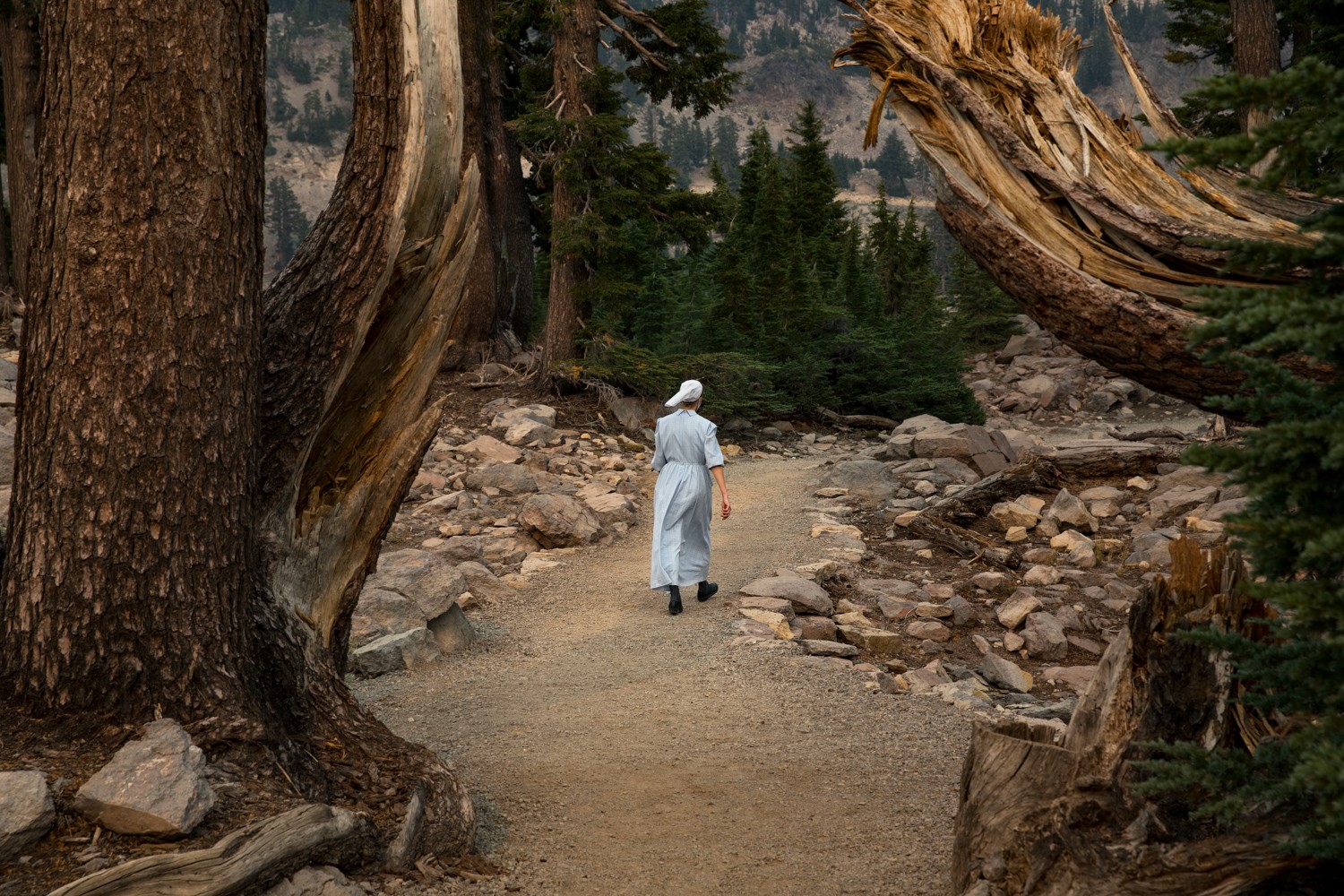 Person walking on a dirt trail in a forested area with tall trees and rocky terrain.