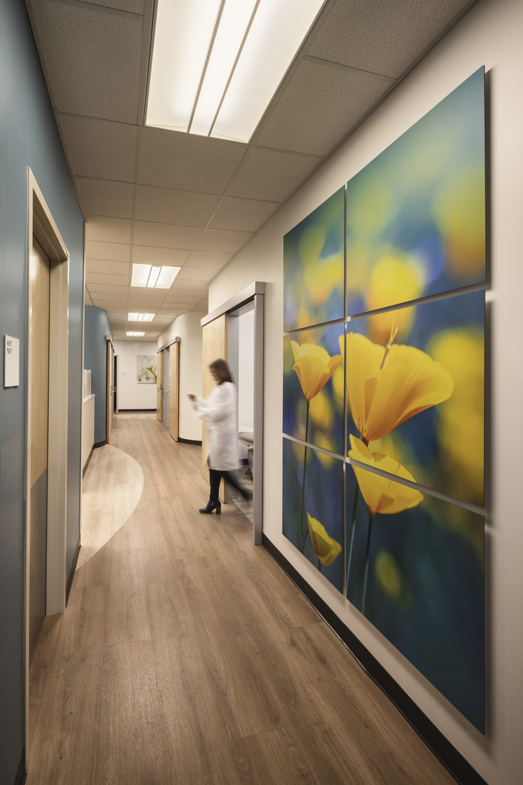 Hospital corridor with a person in a white coat walking, large floral artwork on the wall, and ceiling lights.