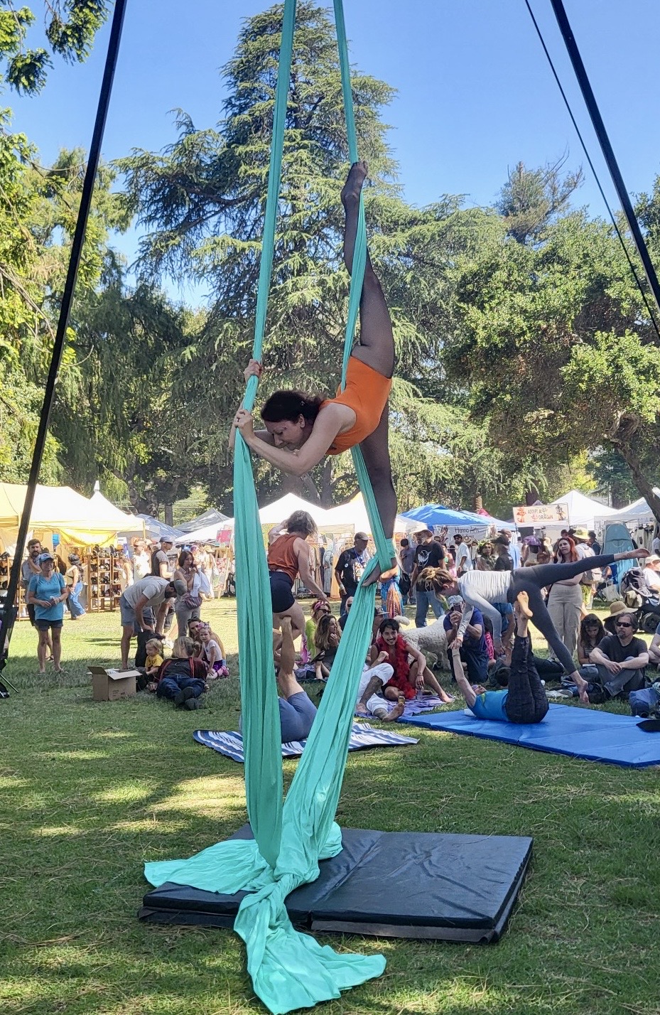 Person performing aerial silk acrobatics outdoors with trees and crowd in background.
