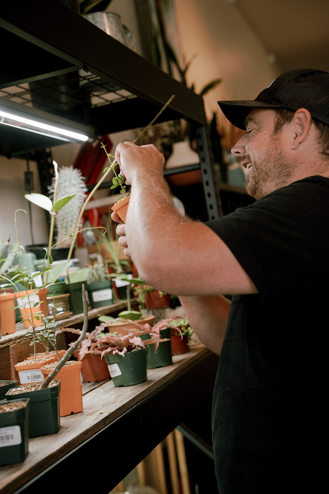 Man tending to potted plants on a shelf in a store or greenhouse, smiling and wearing a cap.