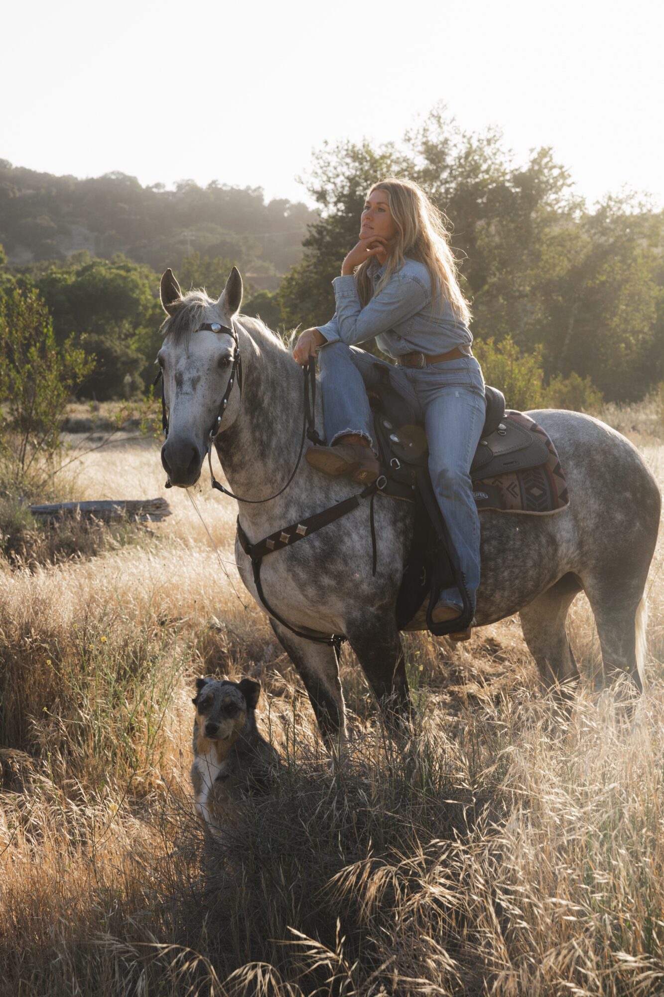 Woman riding a gray horse in a field with two dogs, trees, and hills in the background, sunlight shining through.