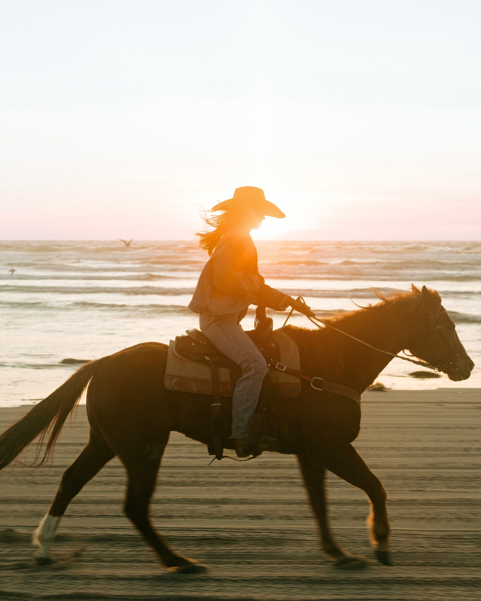 Person riding a horse along the beach at sunset, with the ocean and sky in the background.