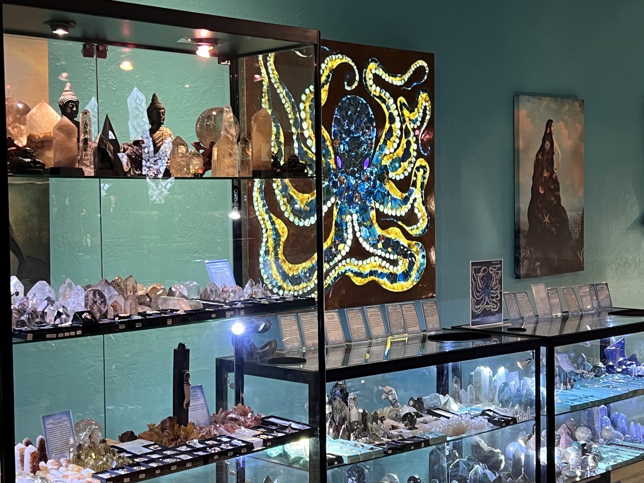 Jewelry display cases with various gemstones and jewelry, colorful artwork on teal wall, and framed pictures on a black table.
