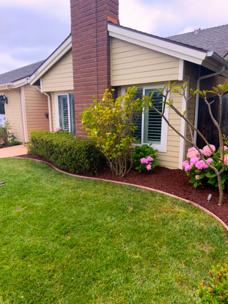 Front yard with green lawn, bushes, pink flowers, and a house with beige siding and a brick chimney.