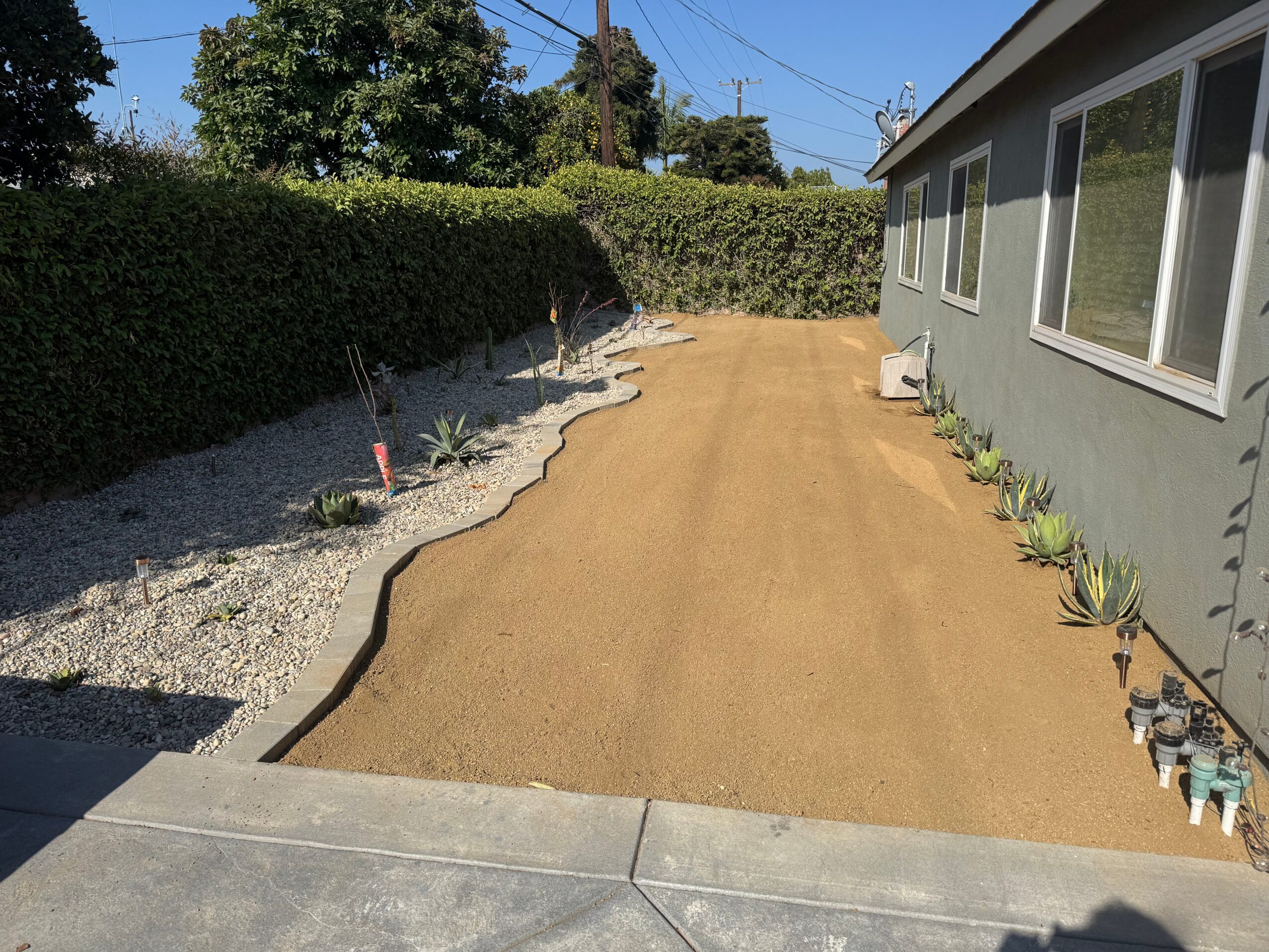 Newly landscaped yard with a sandy pathway, plants along the house, and a hedge in the background.