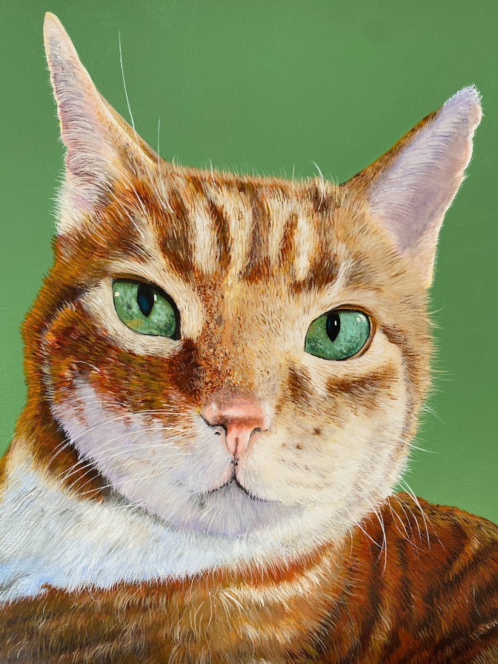 Close-up of an orange tabby cat with green eyes against a green background.