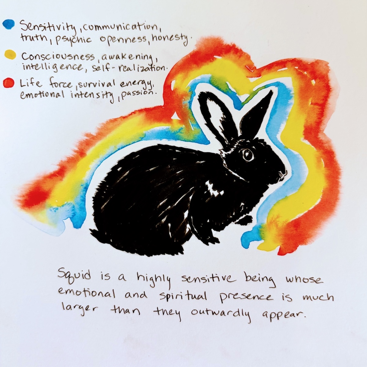 Black rabbit illustration with colorful background, handwritten notes about sensitivity, consciousness, and spiritual presence, and a description of squid's sensitivity.