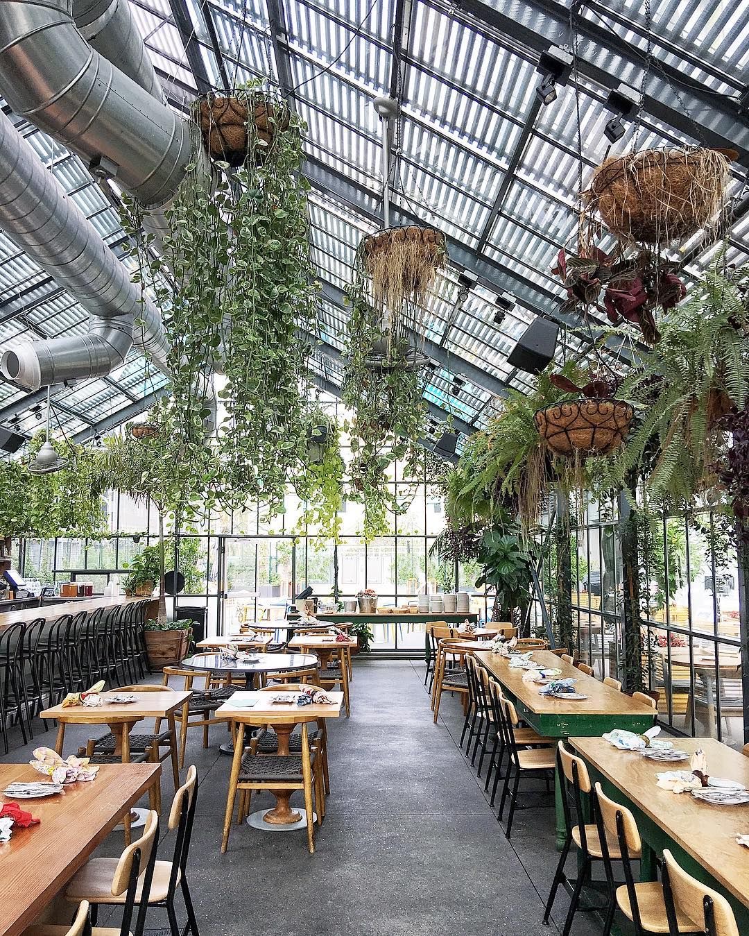 Indoor restaurant with hanging plants and large windows, wooden tables and chairs, and a high glass ceiling.