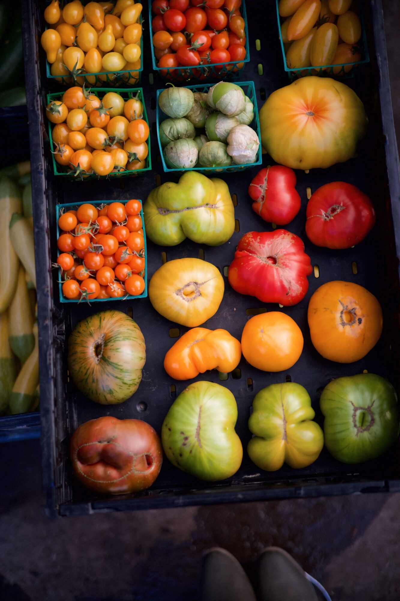 Assorted fruits including tomatoes, apples, melons, and peppers arranged in containers and on a surface.