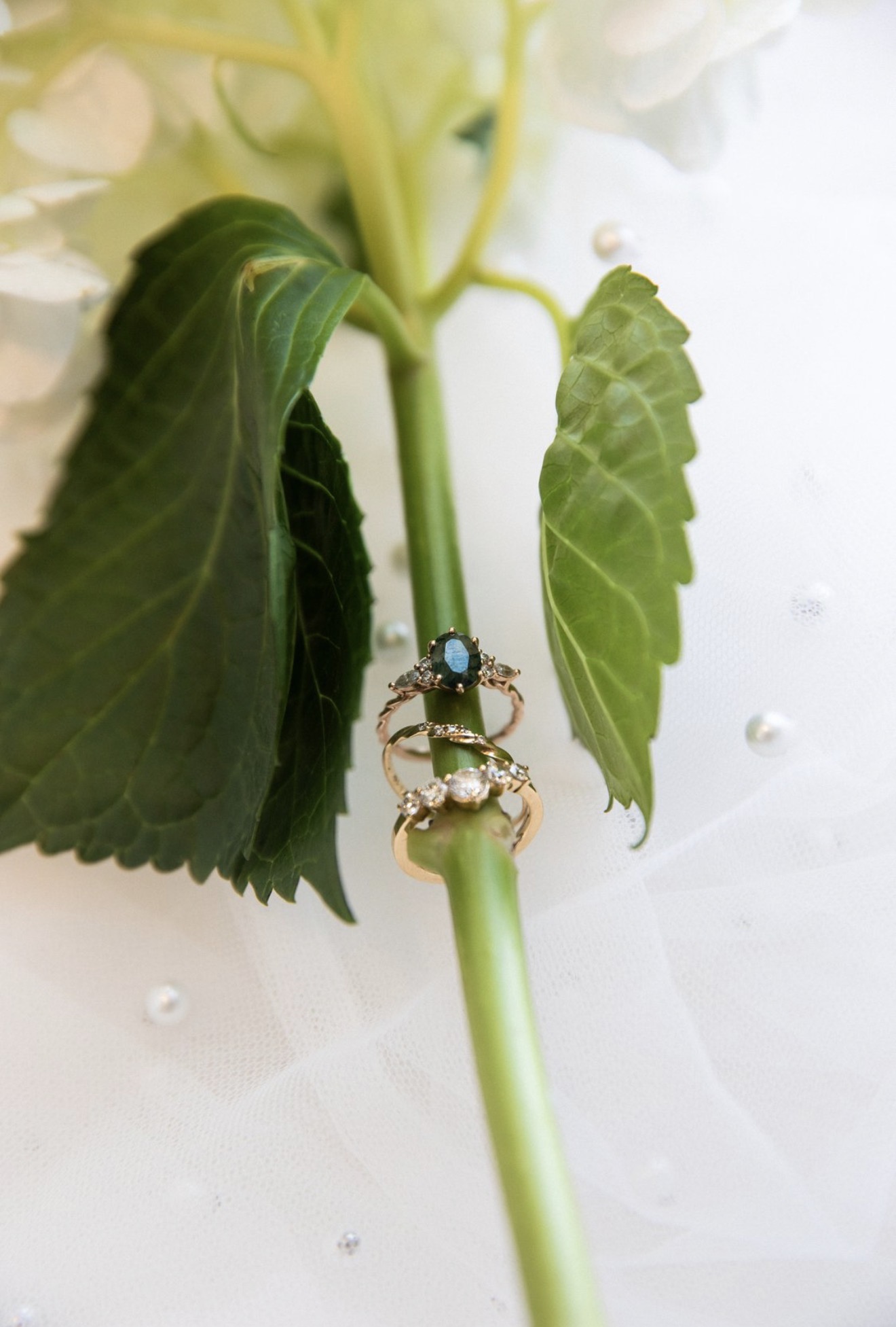 Close-up of a plant stem with two rings placed on it, surrounded by green leaves and white flowers, on a white surface.