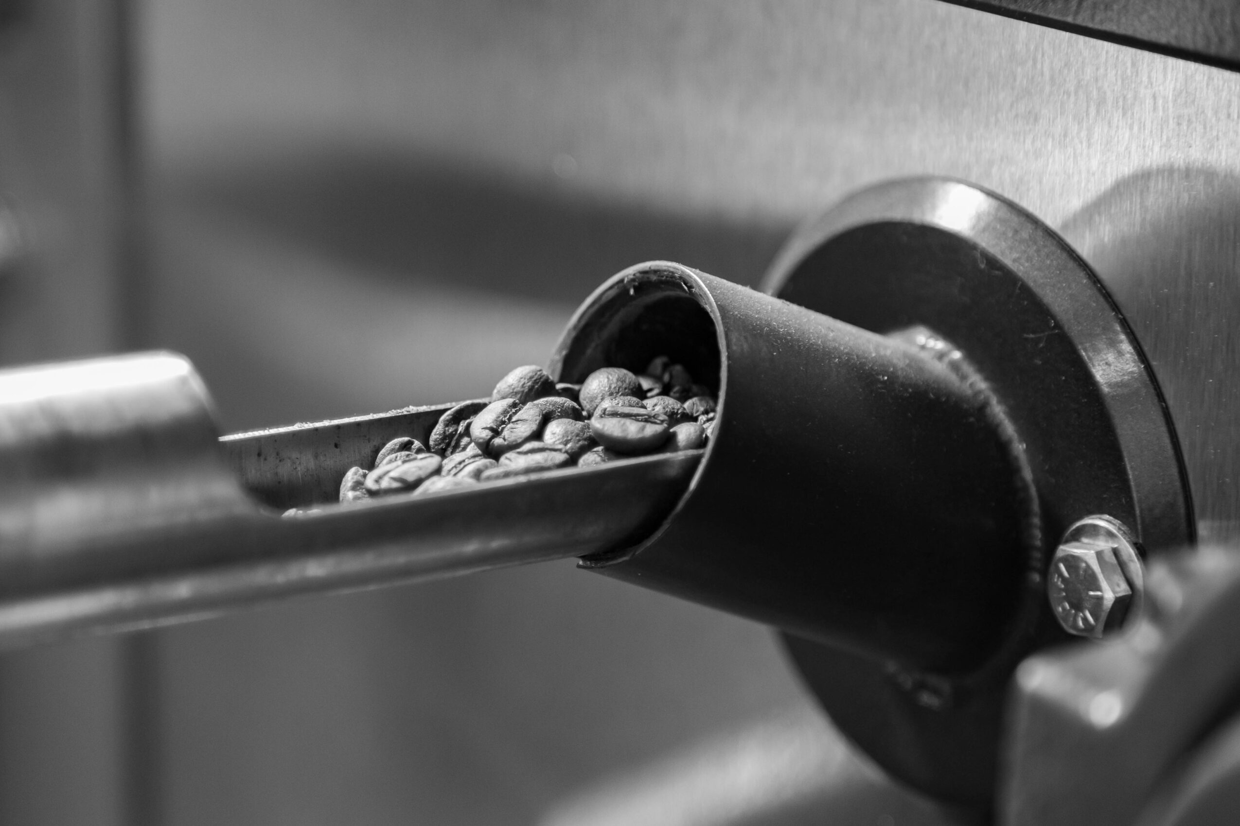 Coffee beans in a metal grinder chute, close-up view, black and white image.