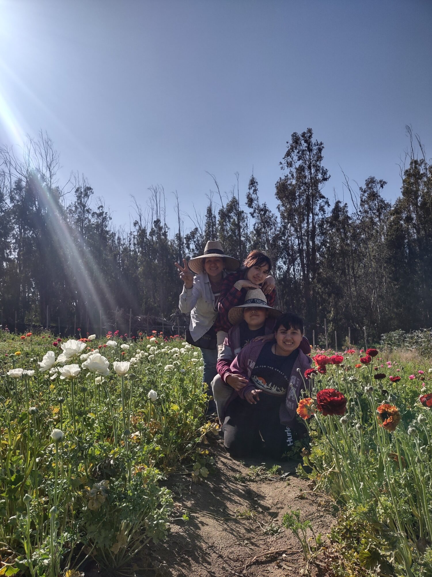 Four people in a flower field with trees and a clear sky in the background, some wearing hats, smiling and posing.