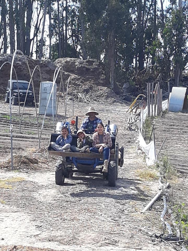 People riding in a small vehicle on a dirt path in a rural outdoor setting with trees and structures in the background.