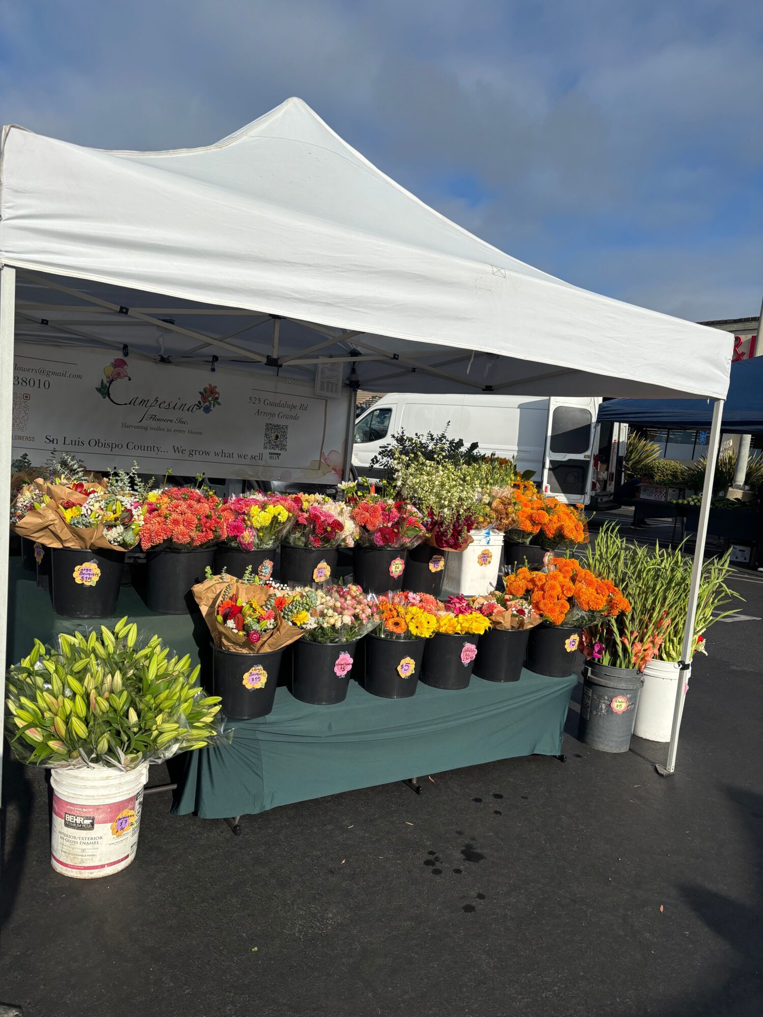 Display of colorful flowers and plants under a white canopy, with black candles and a green tablecloth, outdoors on pavement.