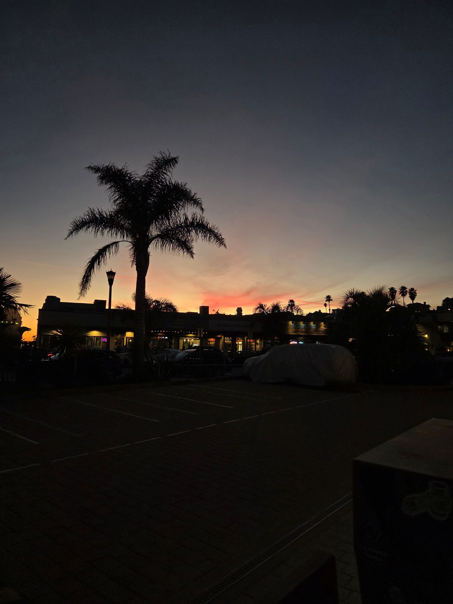 Sunset sky with a silhouette of a tall tree and buildings in the distance.