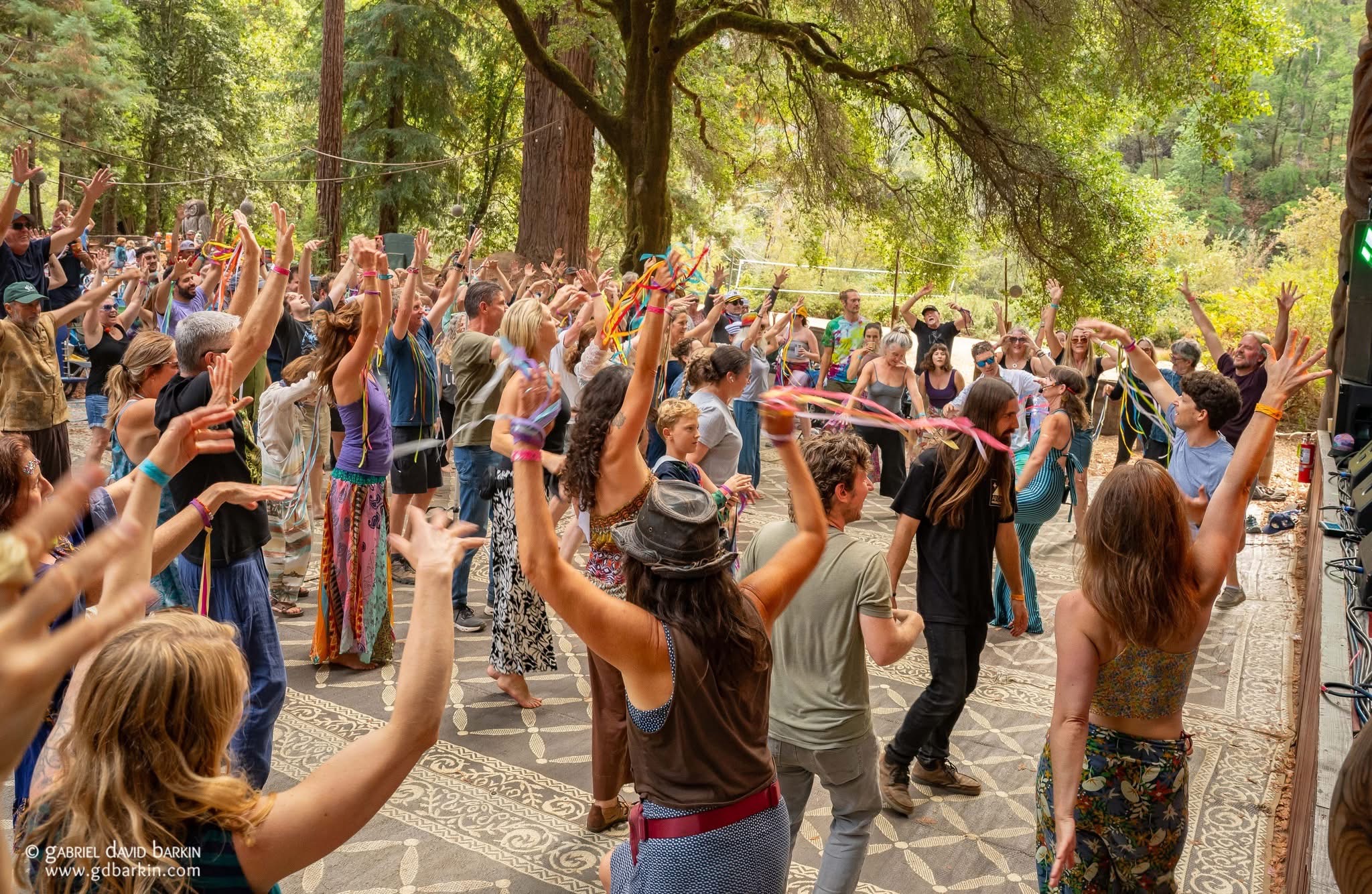 Group of people dancing outdoors in a forested area with trees and sunlight, raising their hands, wearing casual clothing.