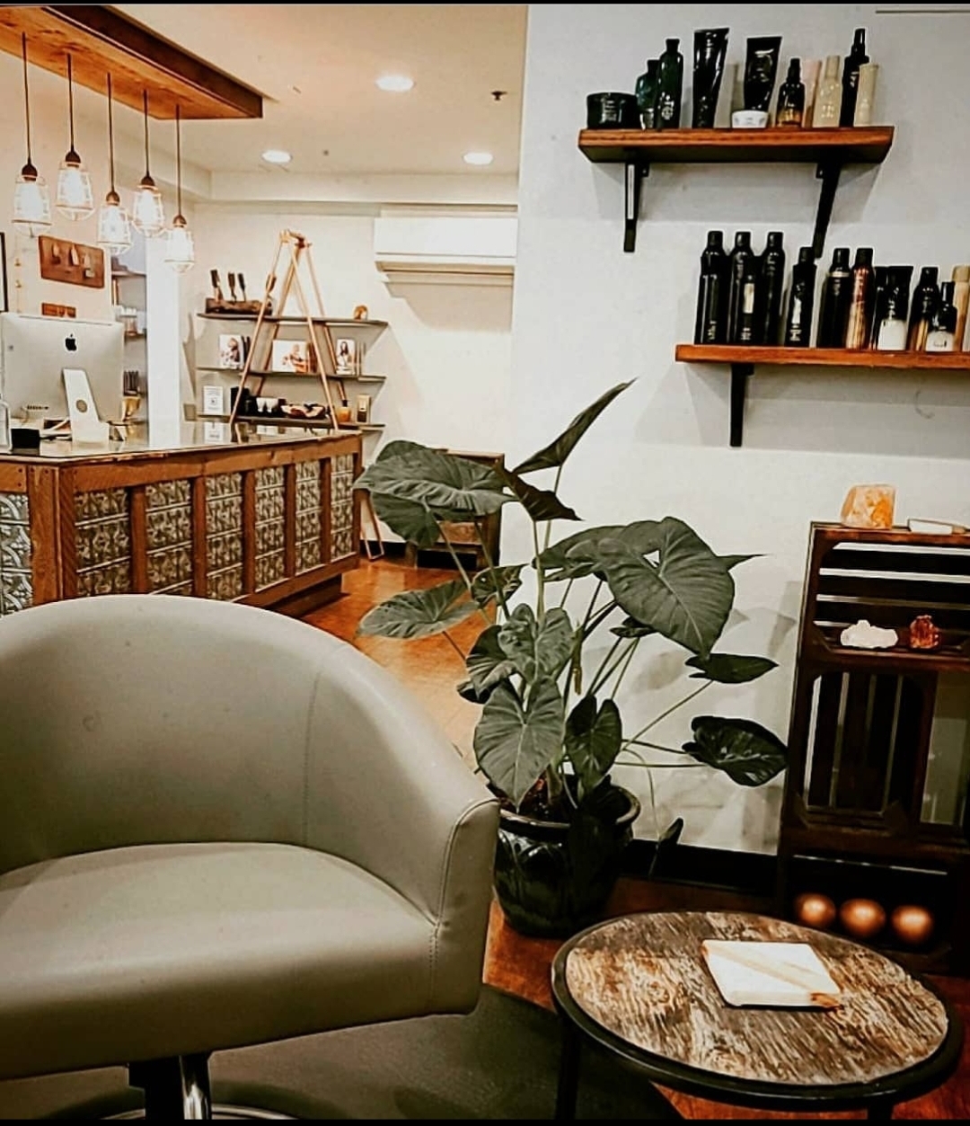 Indoor space with a plant, a round table with a book, a sofa, shelves with bottles, and a counter area.
