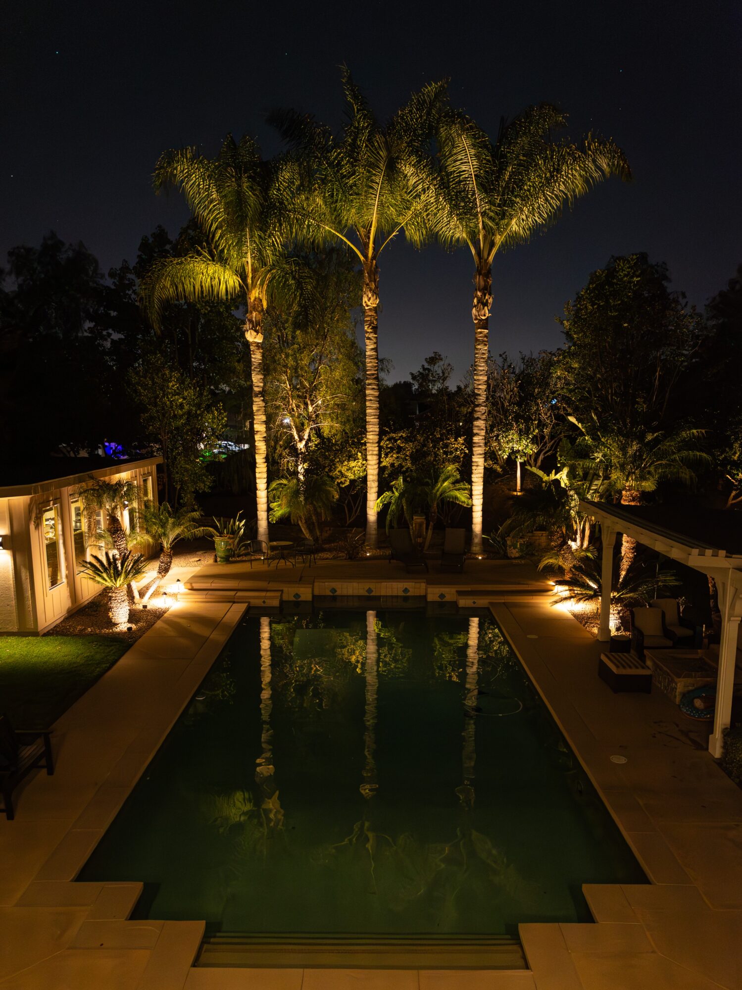 Nighttime view of a backyard with a rectangular pool, tall palm trees, and garden lights illuminating the area.