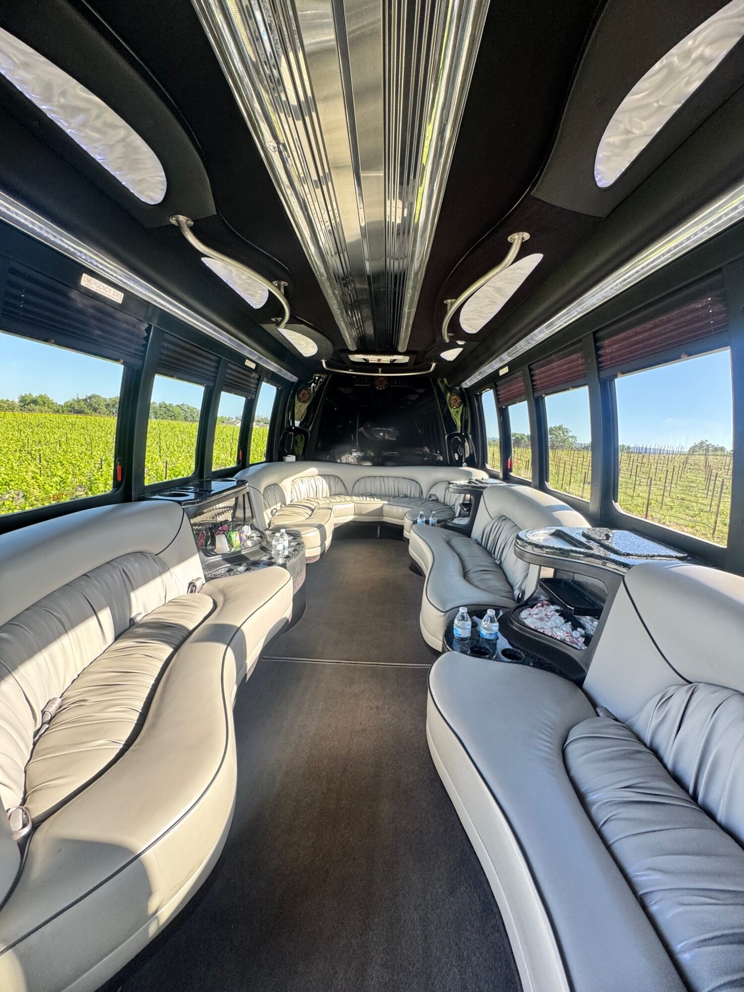 Inside a train with beige leather seats, windows showing green landscape, and overhead lighting, viewed from the side.