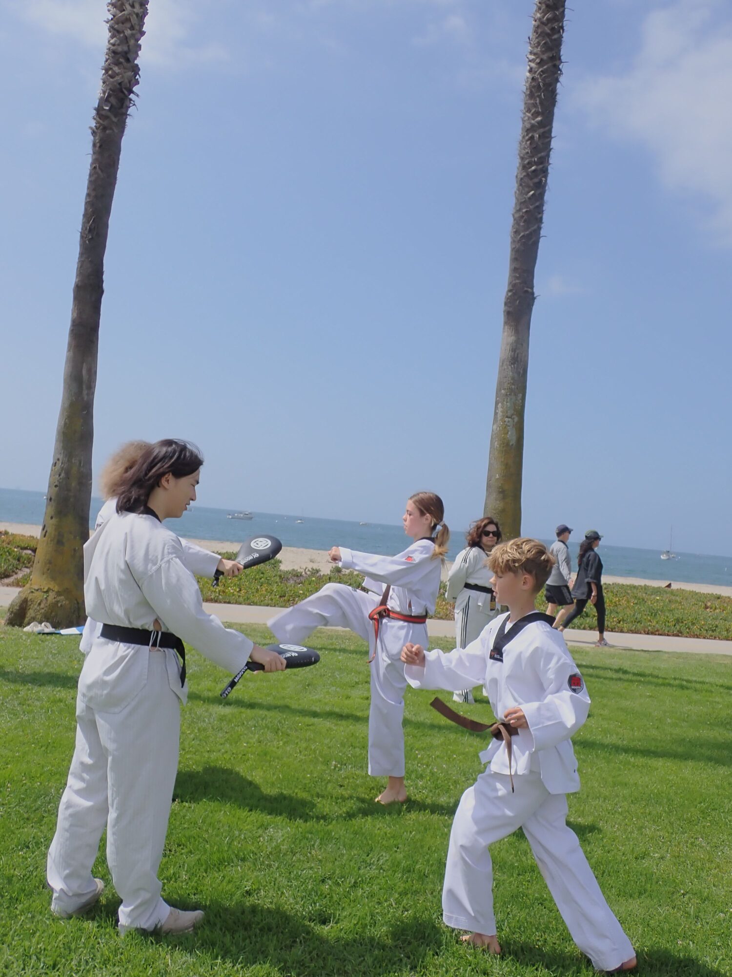 Three people practicing martial arts outdoors on grass near palm trees, with a body of water in the background.
