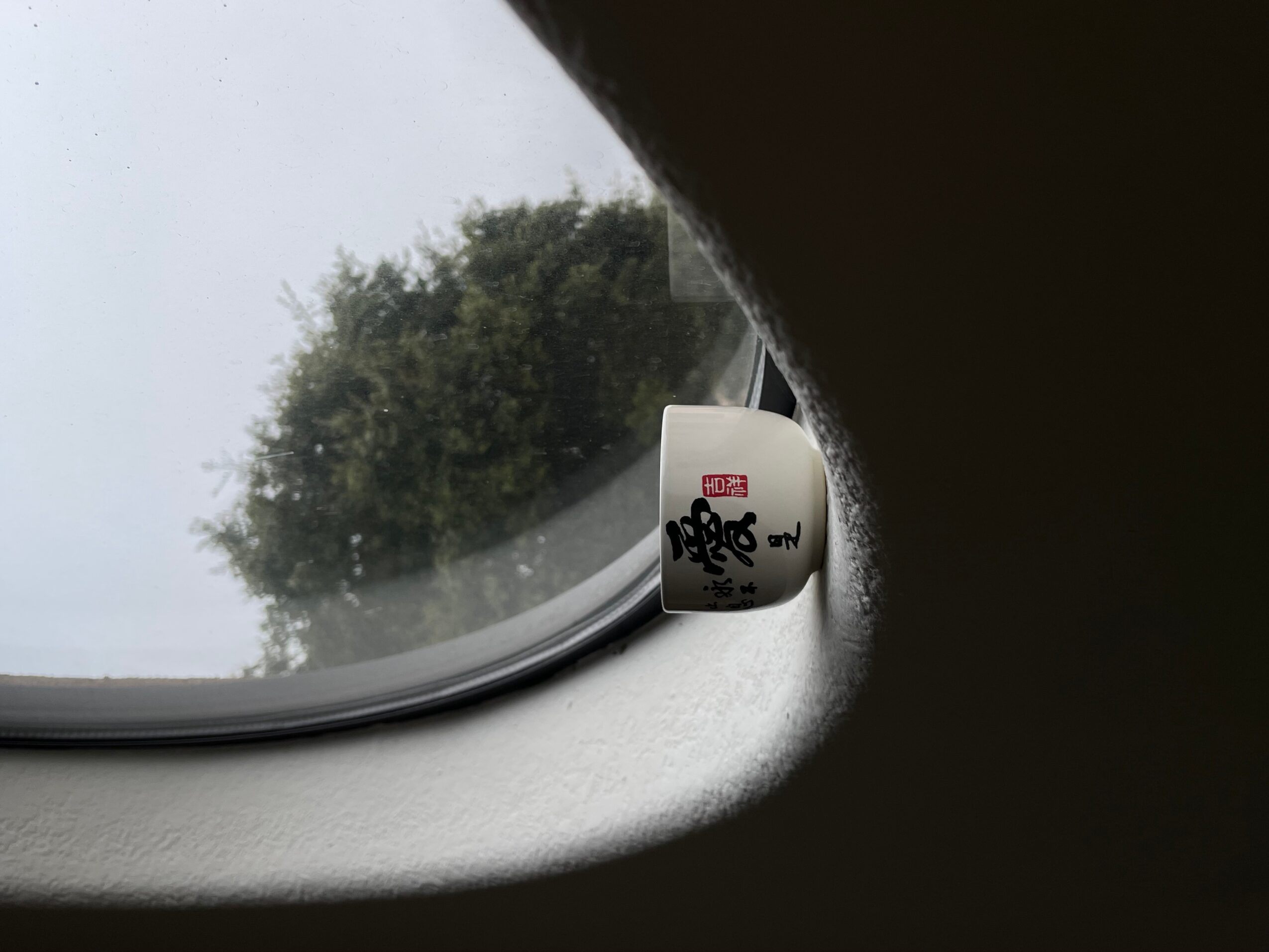 View through a car window showing a tree outside, with a small white object inside the car near the window.