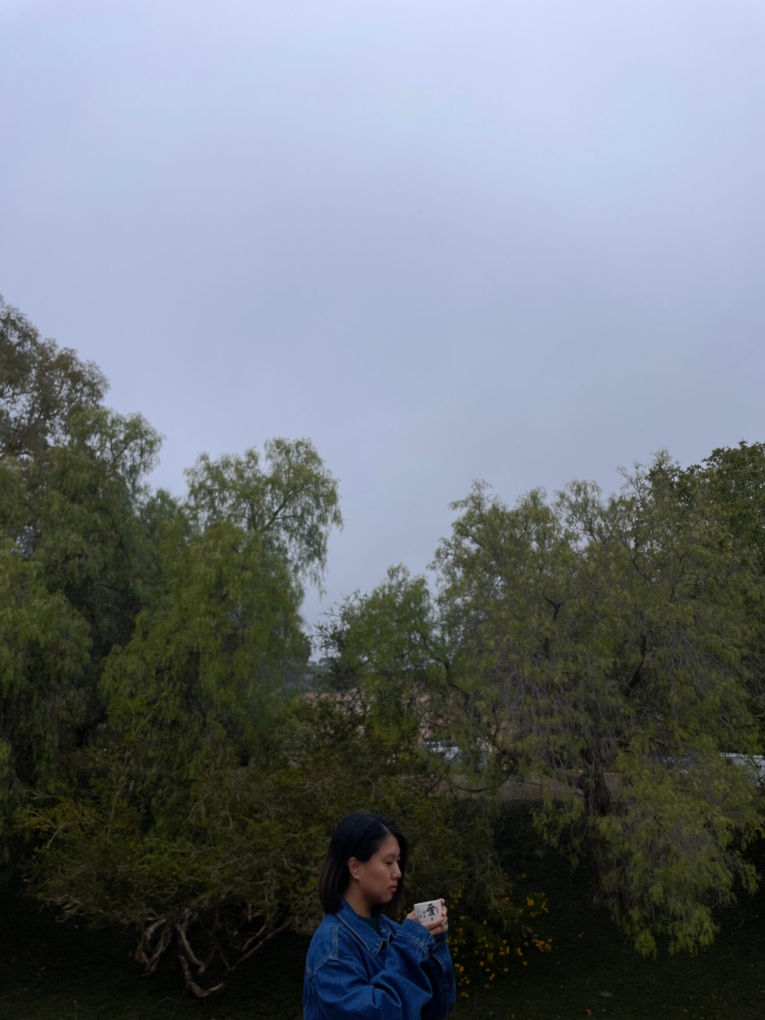 Person in blue jacket holding a phone outdoors with trees and cloudy sky in background.