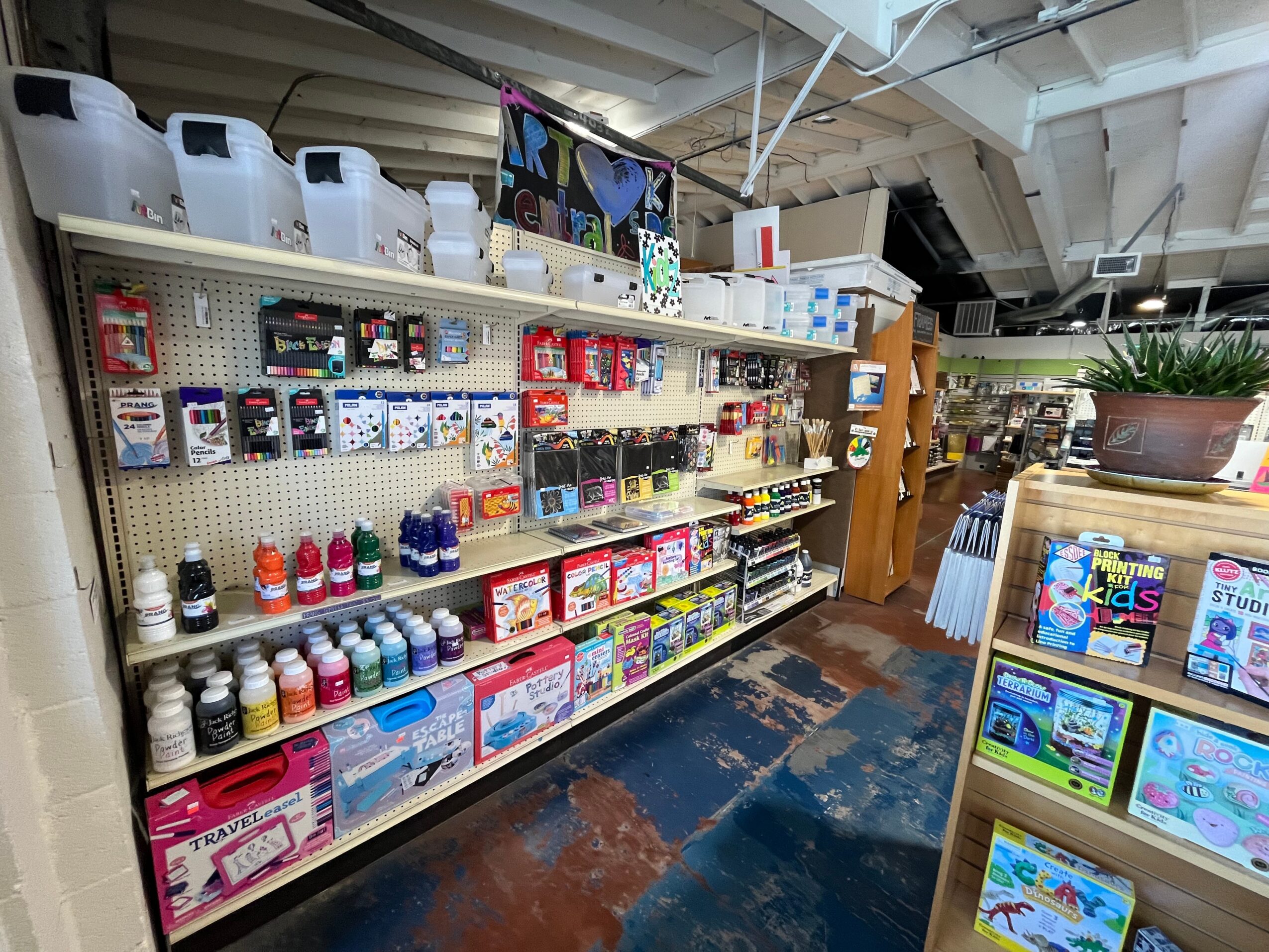 Store shelf with cleaning supplies, toys, and household items, with a display of children's books nearby, in a retail space.