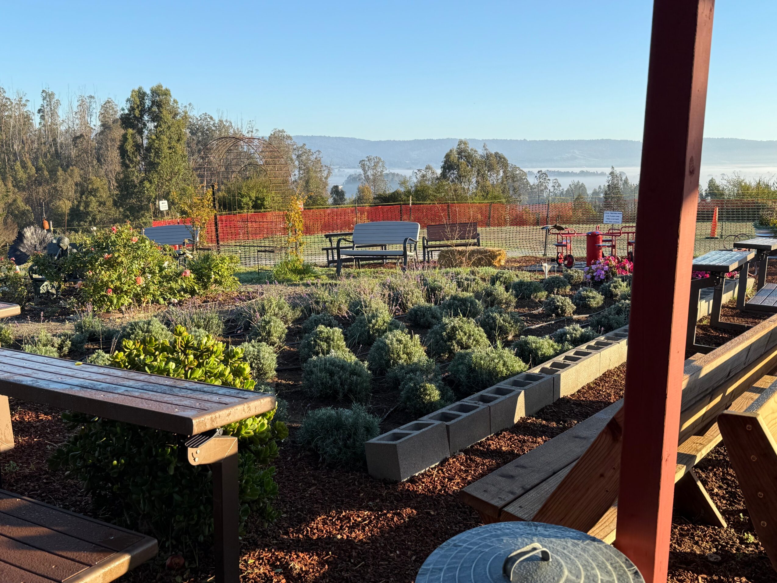 View of a garden with benches, plants, and a fence, overlooking a body of water and trees in the distance.