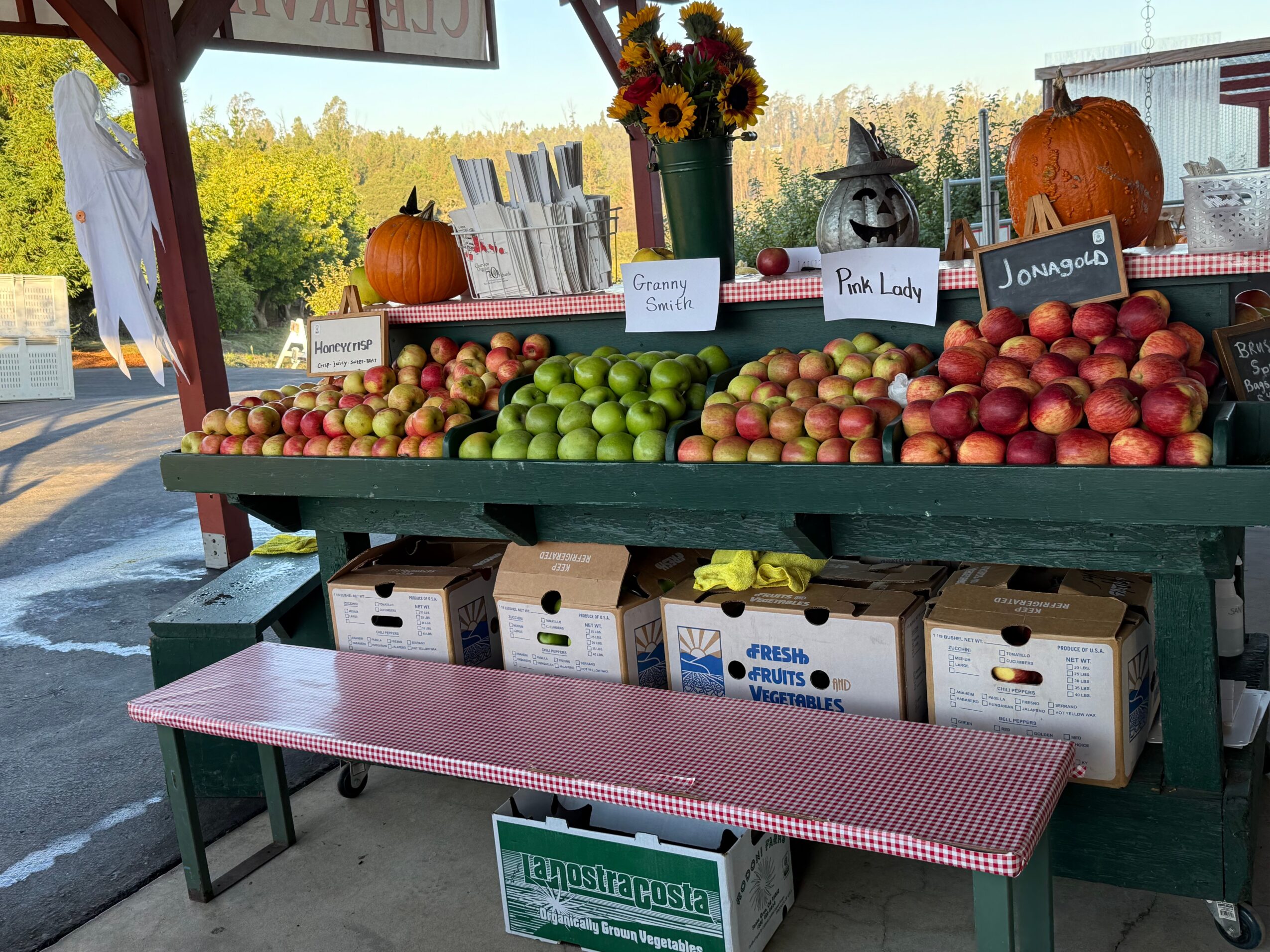 Fruit stand with apples, pumpkins, and flowers, labeled with signs, outdoors on a sunny day.