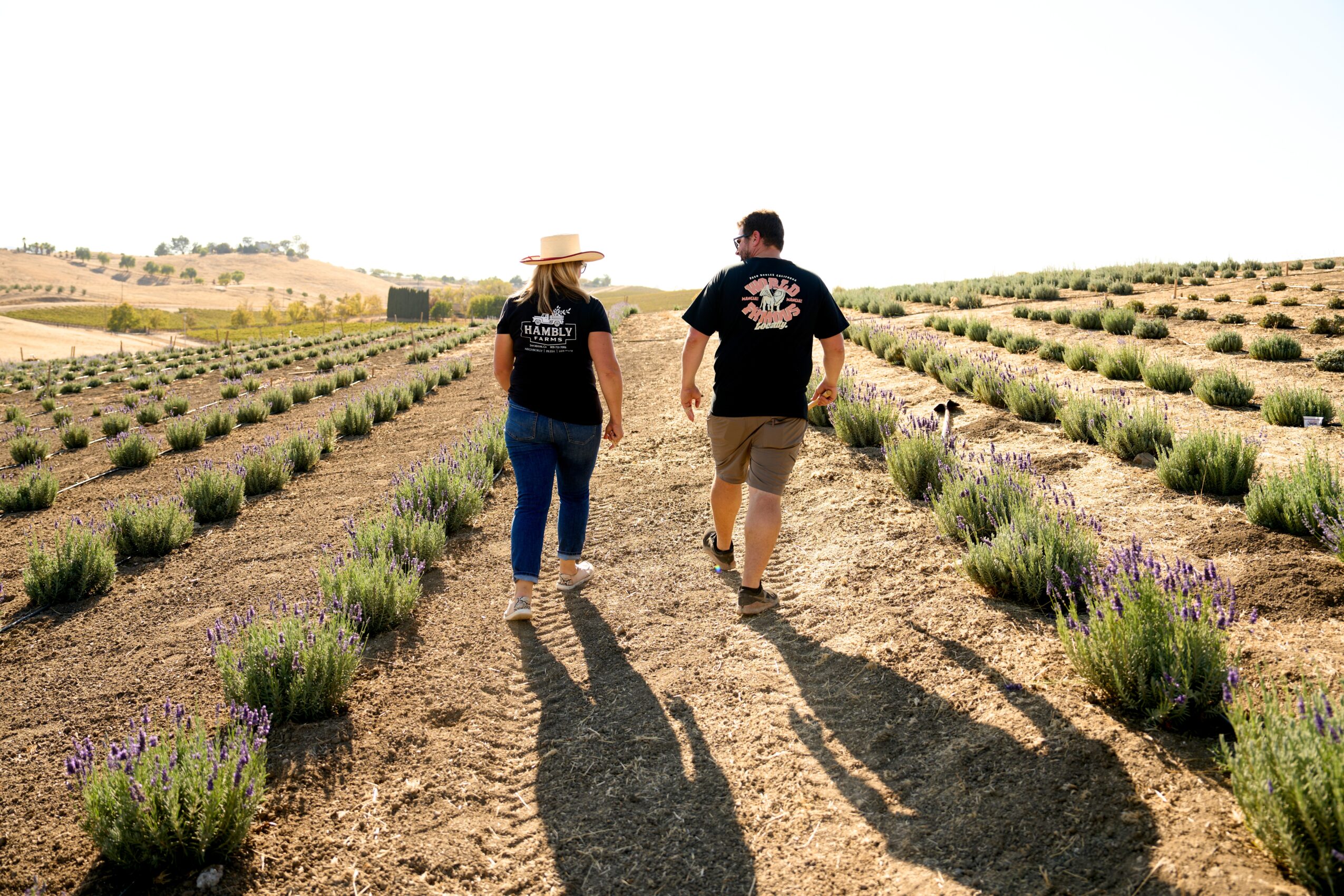 Two people walk through a lavender field with rows of lavender plants, sunny sky, and distant hills.