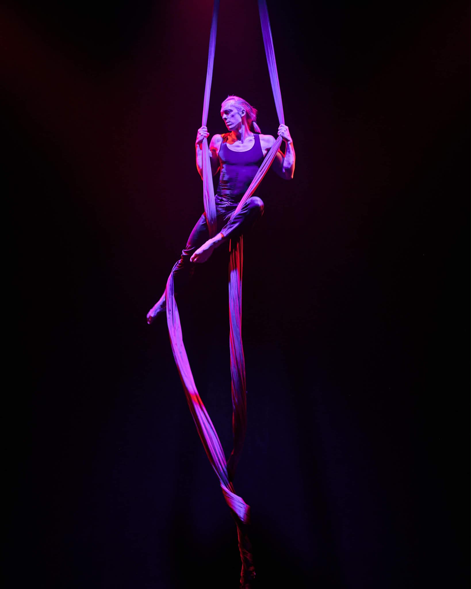 A performer sits on aerial silk, illuminated by purple and pink stage lights, against a dark background.