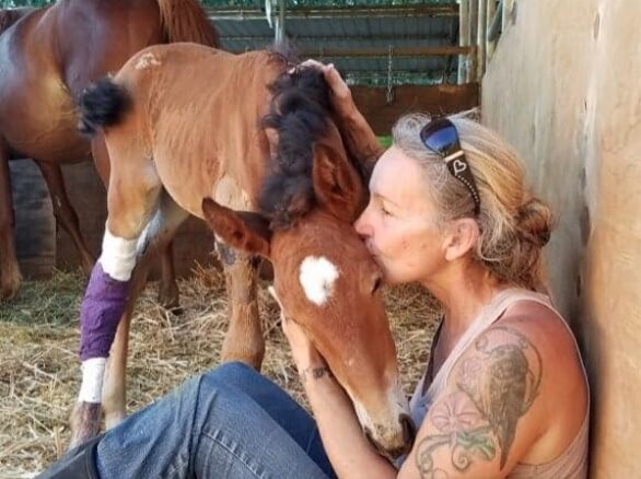 Woman with tattoos kisses a foal's face in a stable, with other horses nearby.