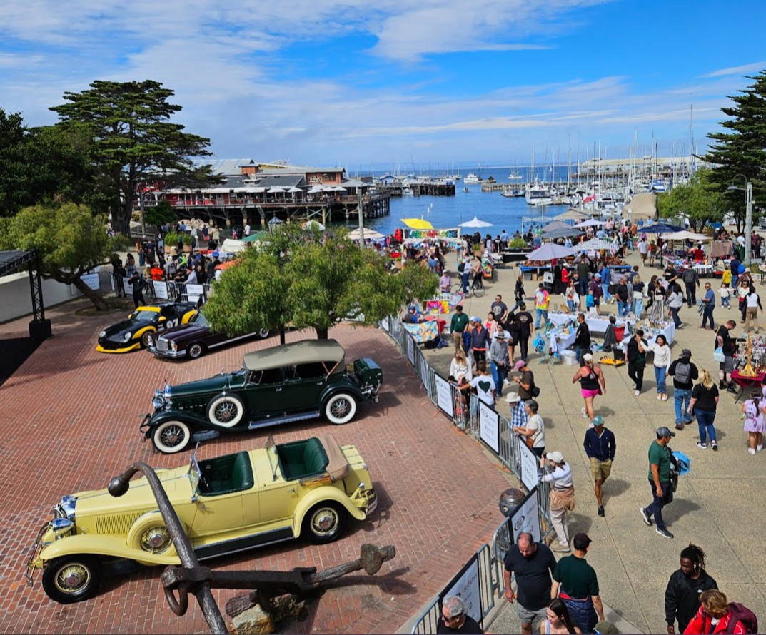 Crowd gathered near boats and cars at a marina with trees and blue sky.